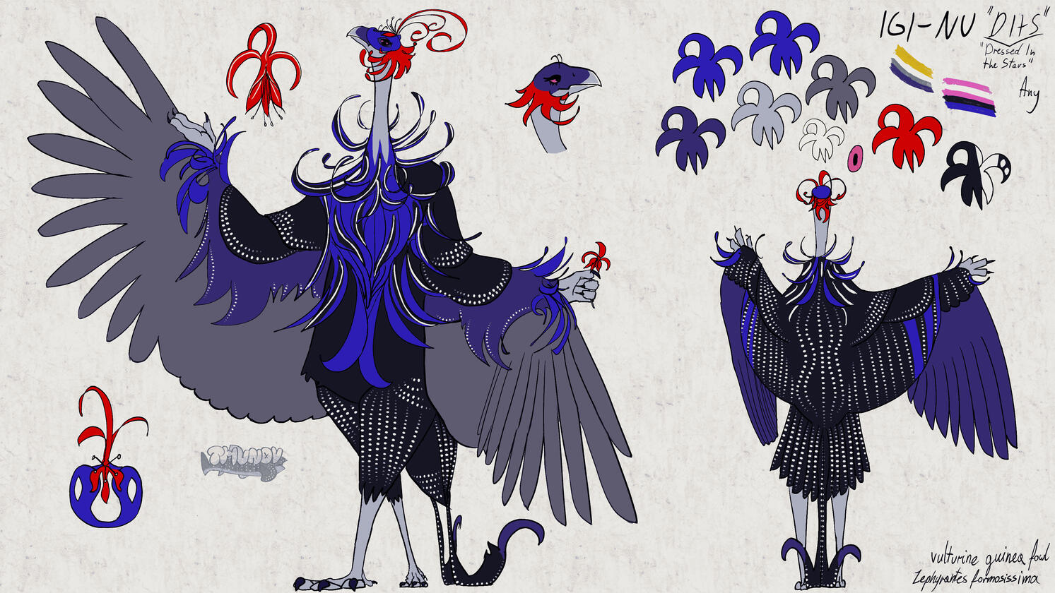 Anthro, back and front